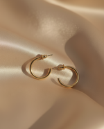 Load image into Gallery viewer, Aura Hoops Earrings