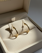 Load image into Gallery viewer, Aura Hoops Earrings